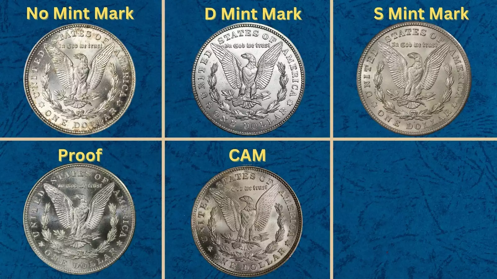 Historical group shot of 1921 Morgan silver dollars showing coins from all three mints, Philadelphia Denver and San Francisco